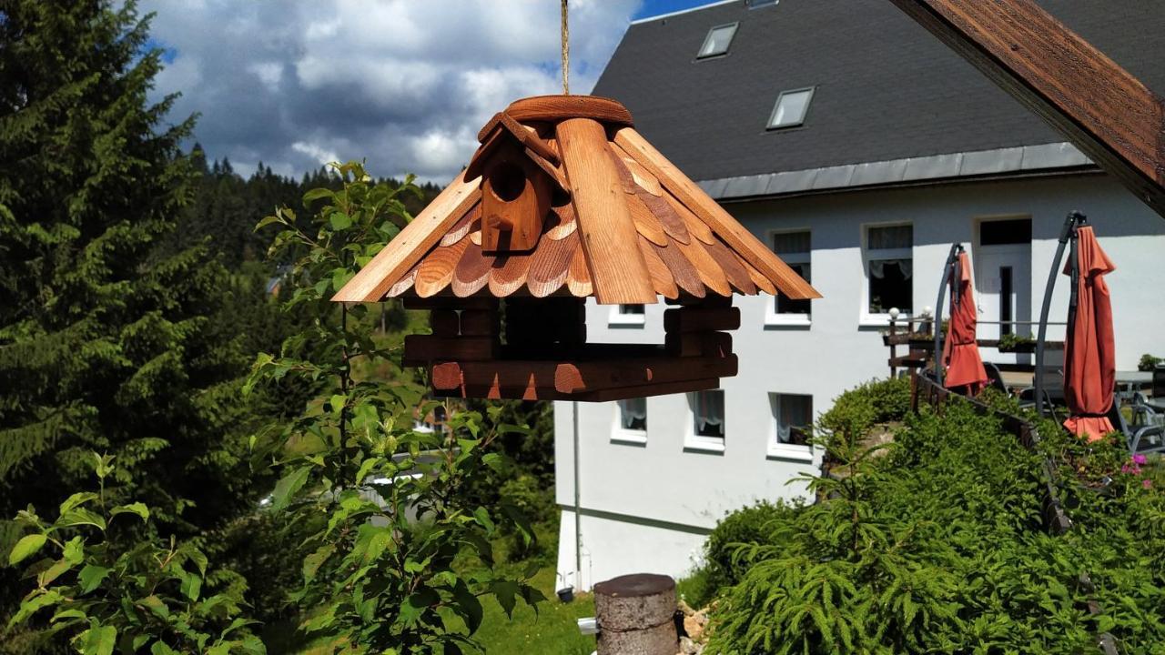 Greizer Kammhütte Gaststätte&Pension Klingenthal Exterior foto